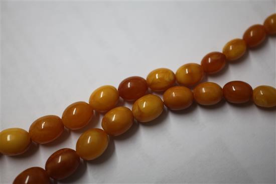 A single strand graduated amber bead necklace, 8.25in.